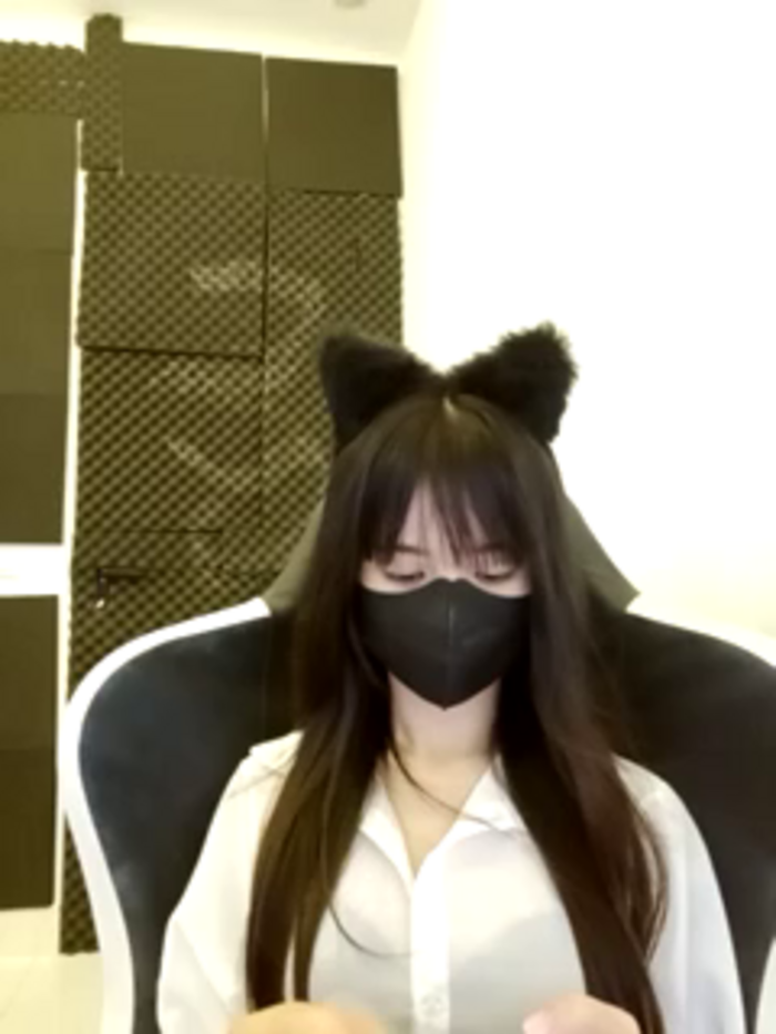 Cat_baby69