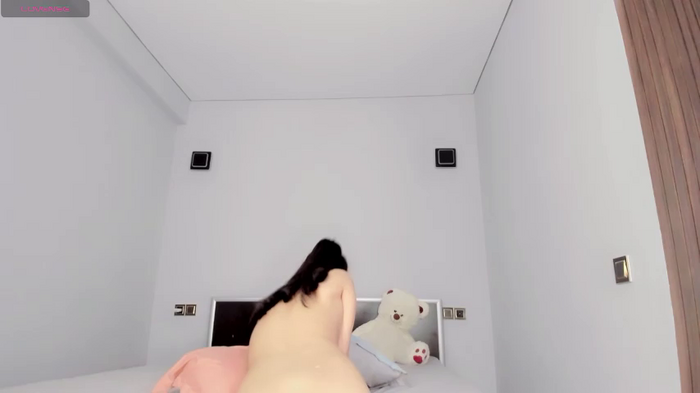 asami_sinkai
