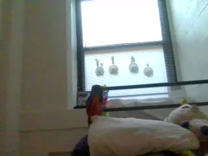 paradisejas