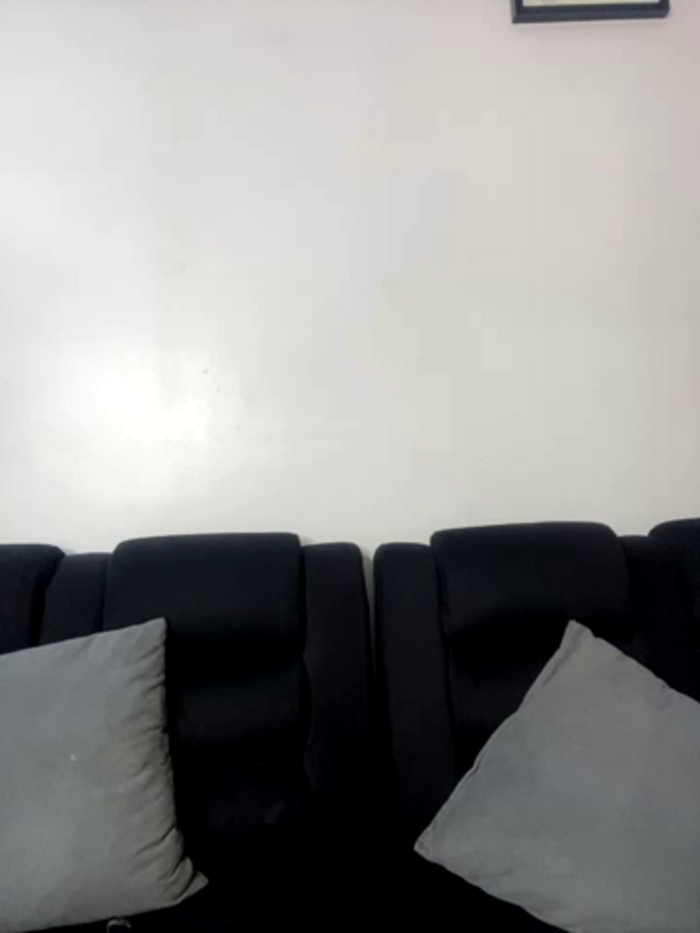 Bunny22_