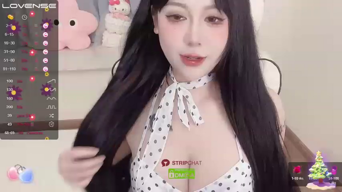 Naixue-520