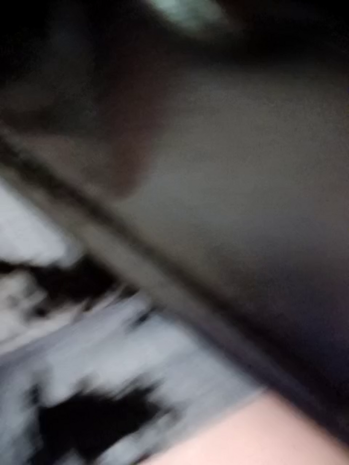 Frost_foxy
