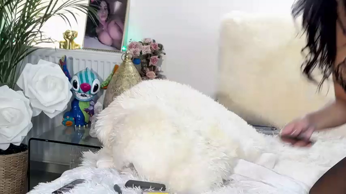 EllisSkyler