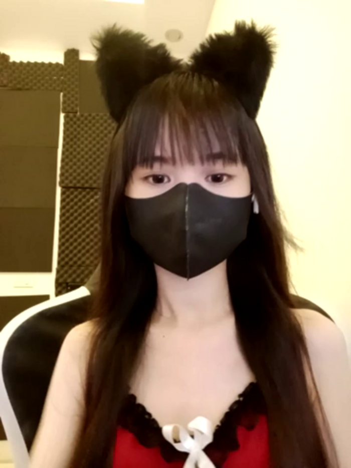 Cat_baby69