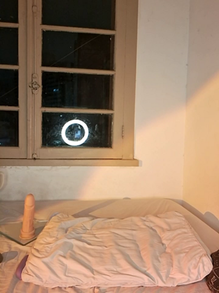Lycalosex_