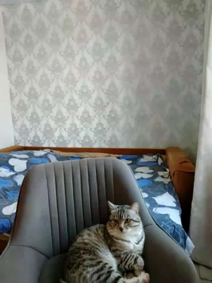 Kathrine_Kit