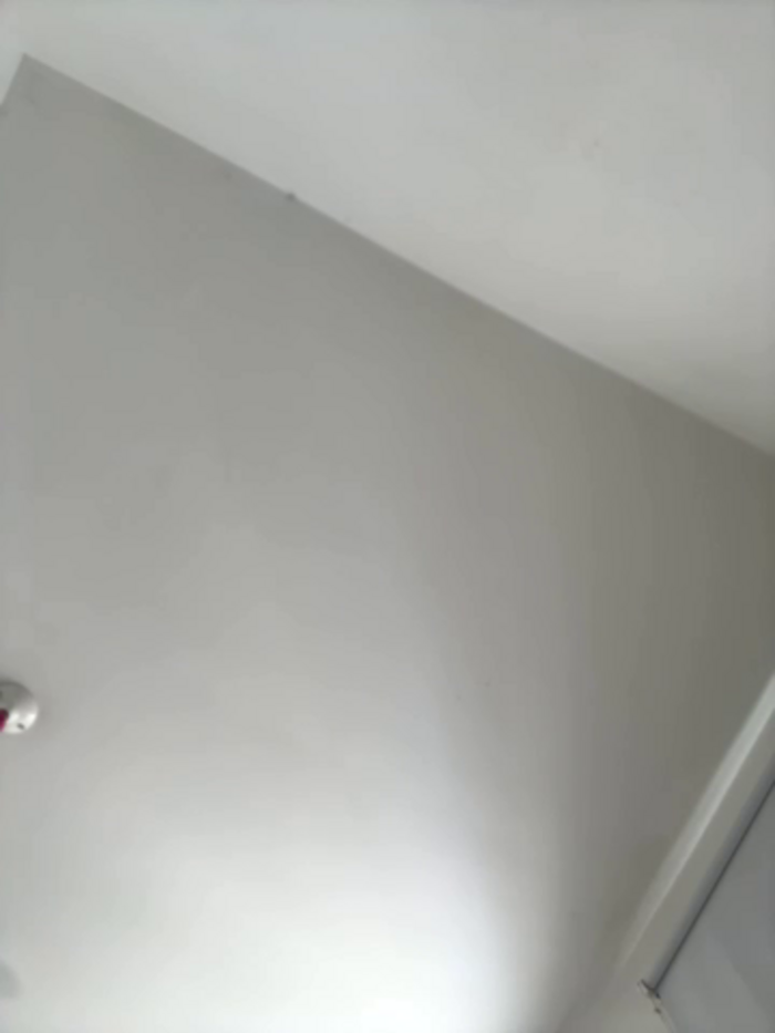 horny_roomiess