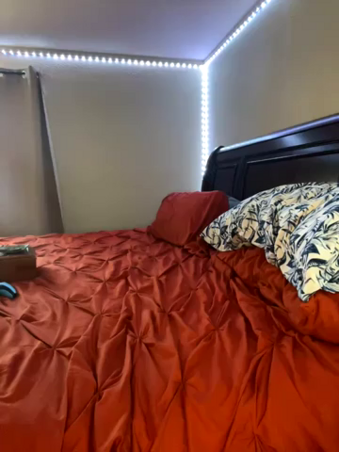 QueenNuttCollector
