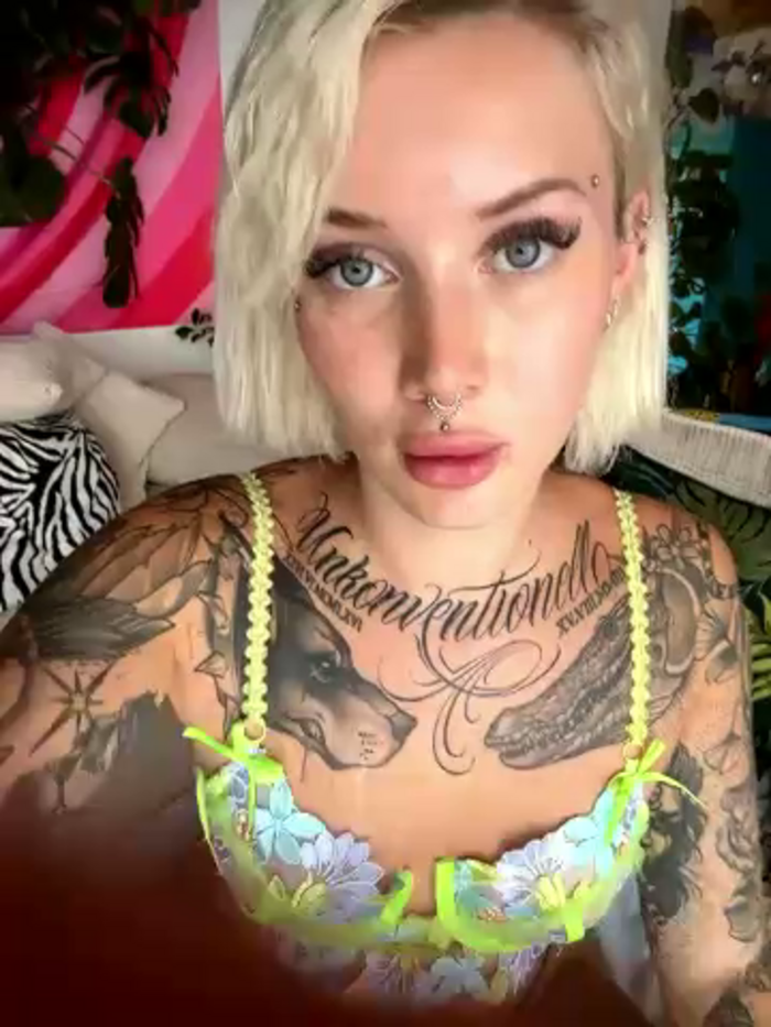 Stella-Kink