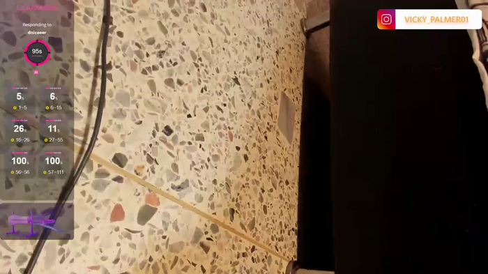 Vicky_Palmer