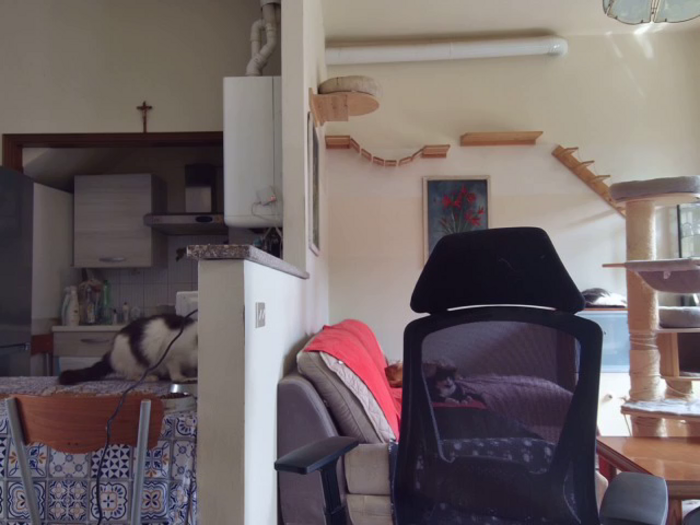 simona60