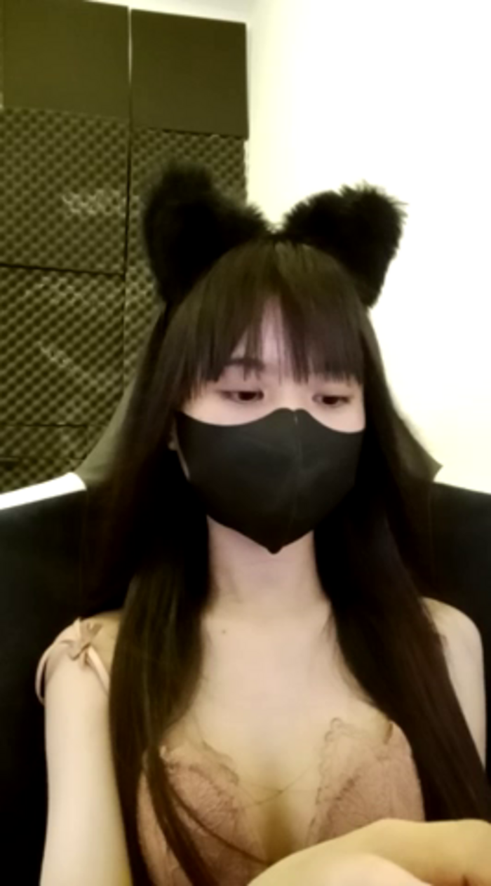 Cat_baby69