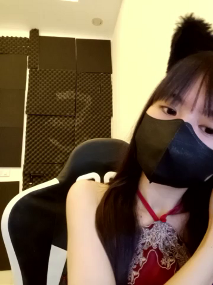 Cat_baby69