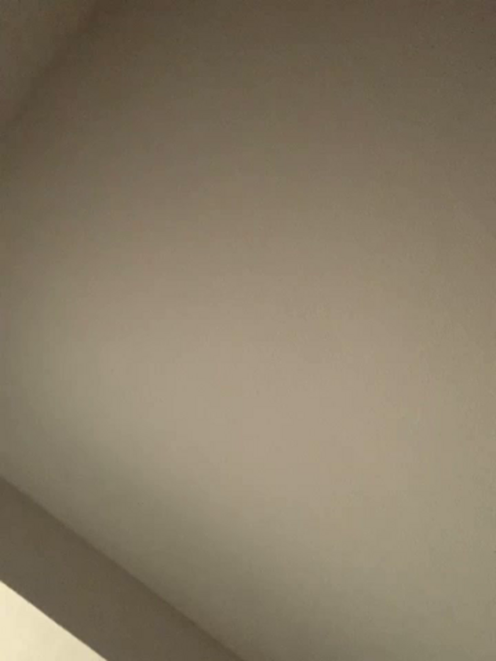 meliAngelical
