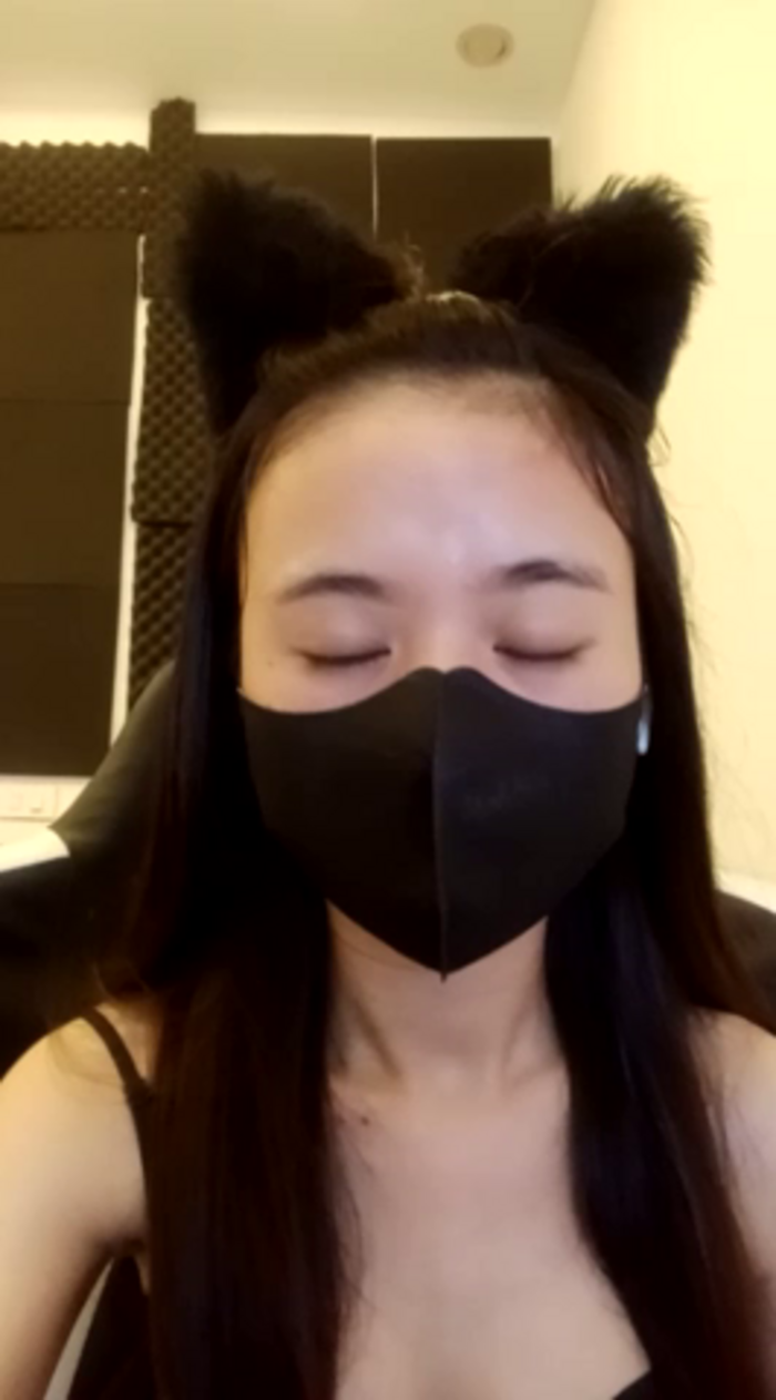 Cat_baby69