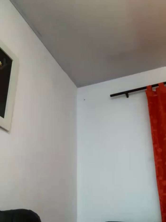 meliAngelical