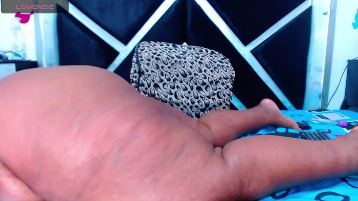vanewilss1