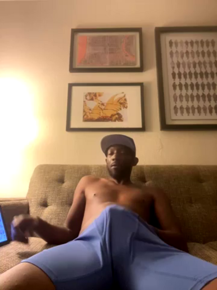 Jaywills