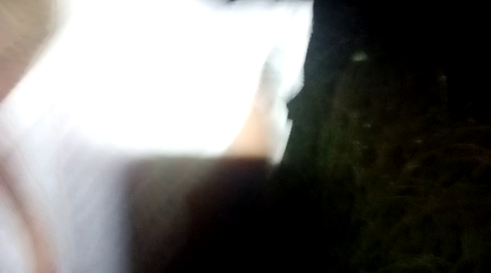 Titaly38