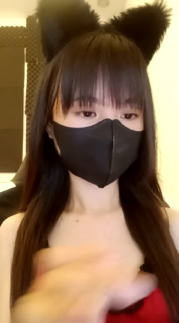 Cat_baby69
