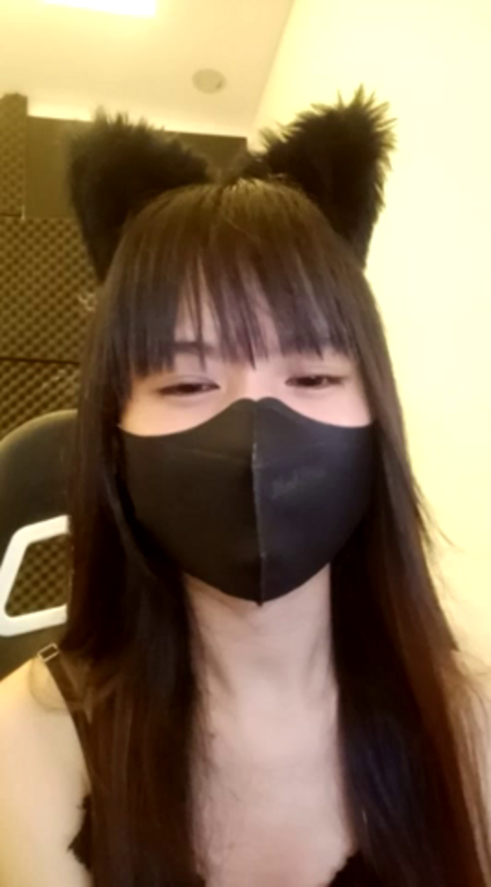 Cat_baby69