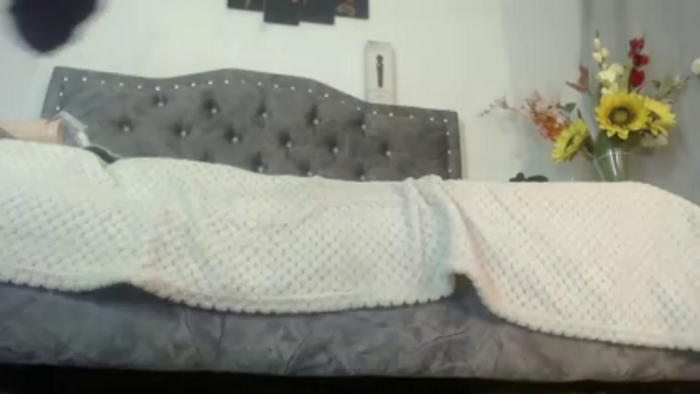 SaraMartins00