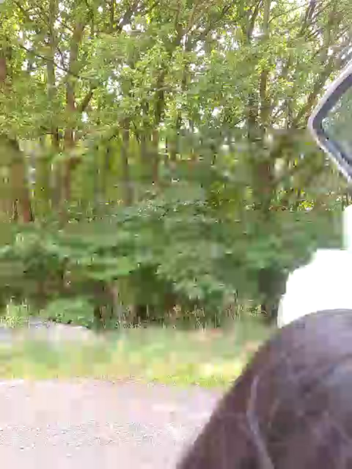 xKimRose