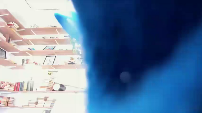 Riskyproject