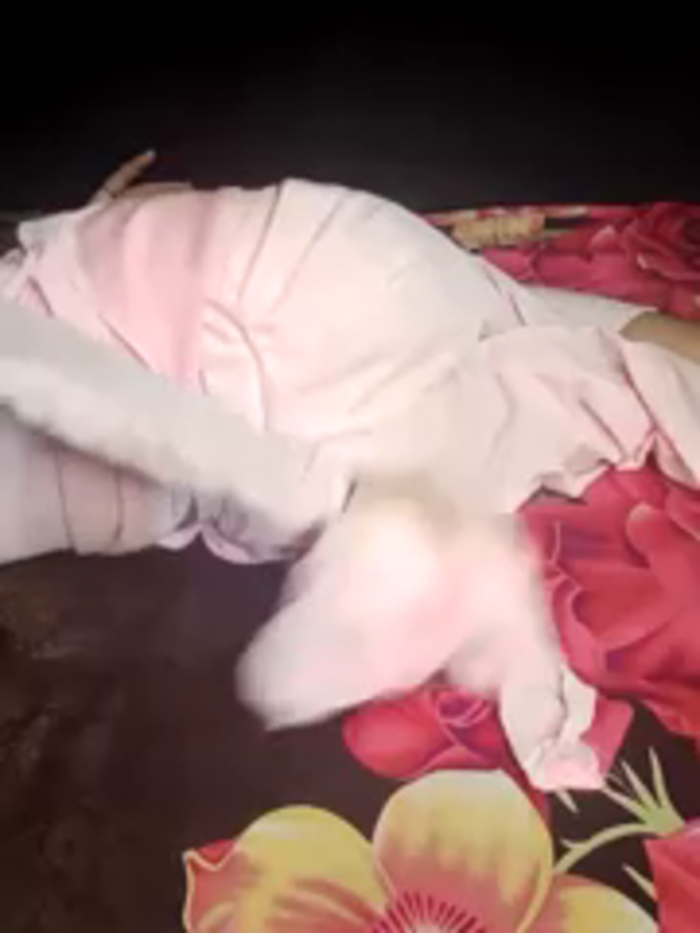 jamiya_is_lamiya
