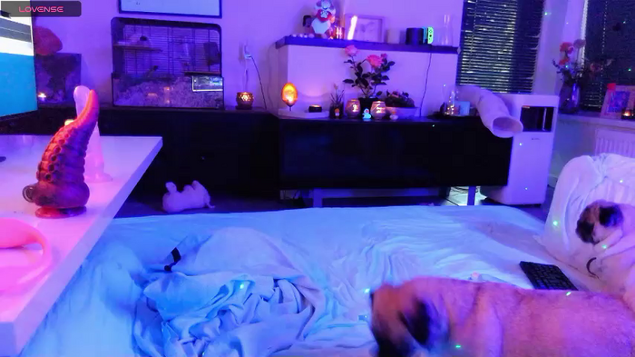 NaughtyCoupleNL
