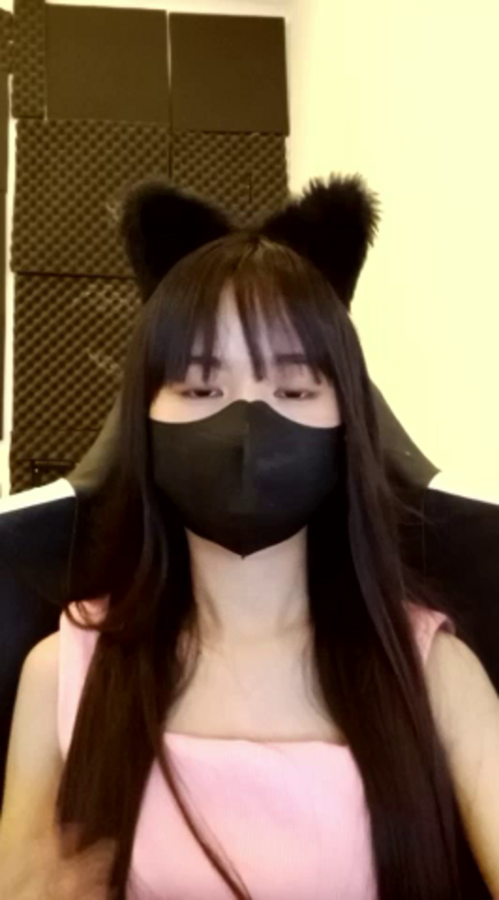 Cat_baby69