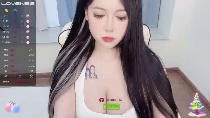 Naixue-520