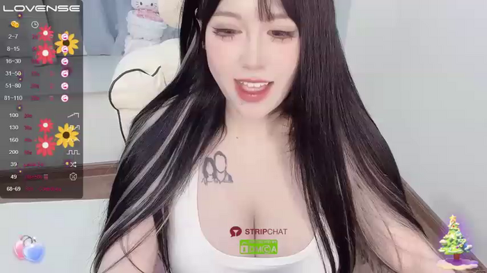 Naixue-520