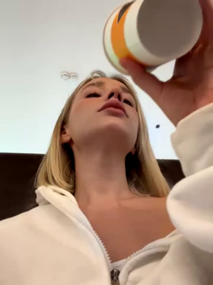 SSSATIVA_model