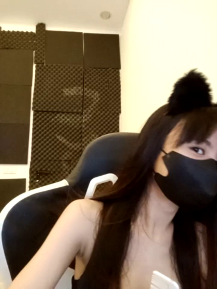 Cat_baby69