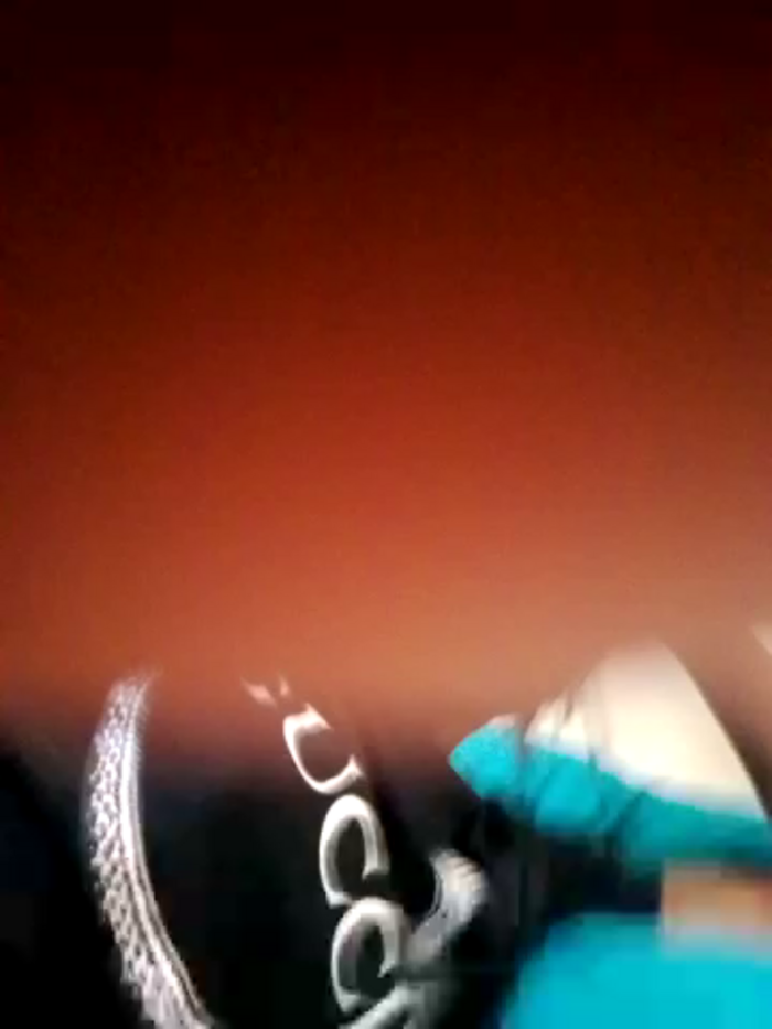 Gee_mgee