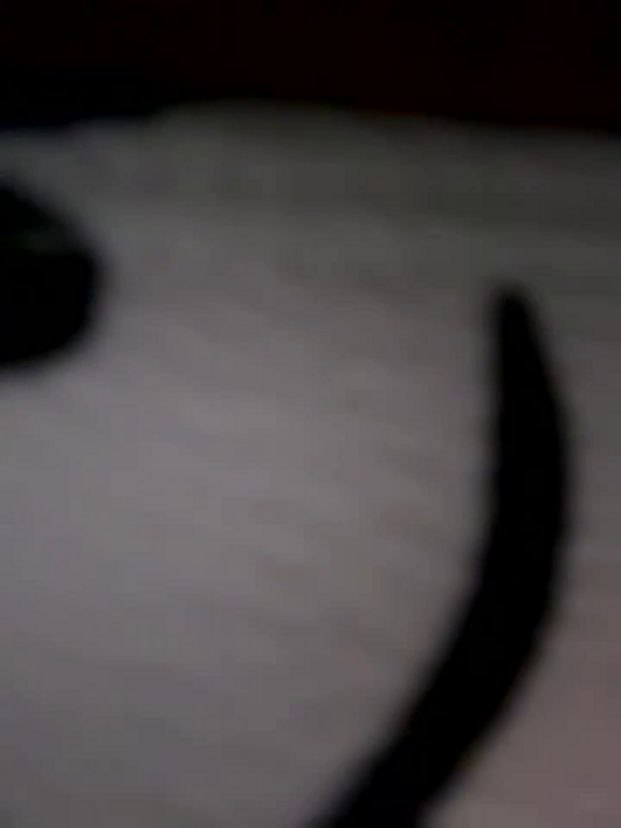The_Snowwhitee