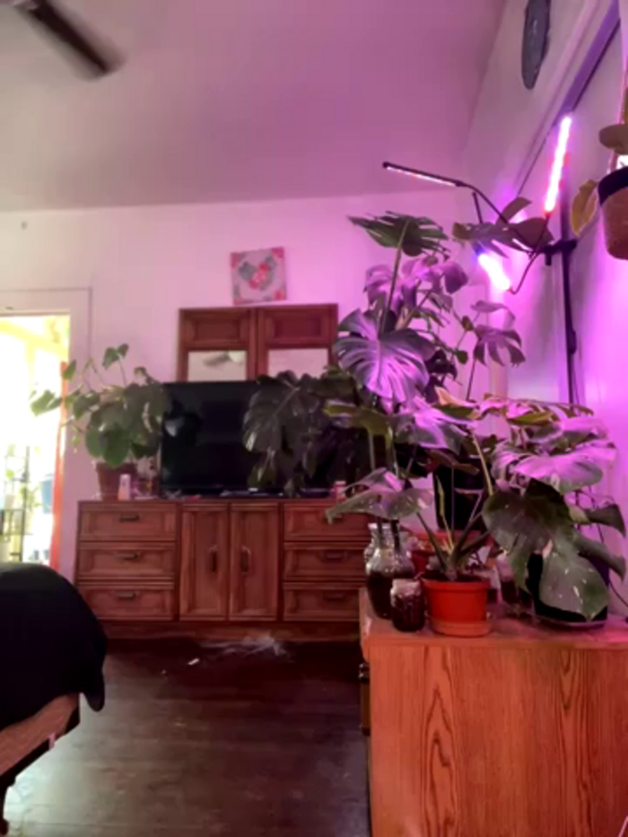 SexySagittarius