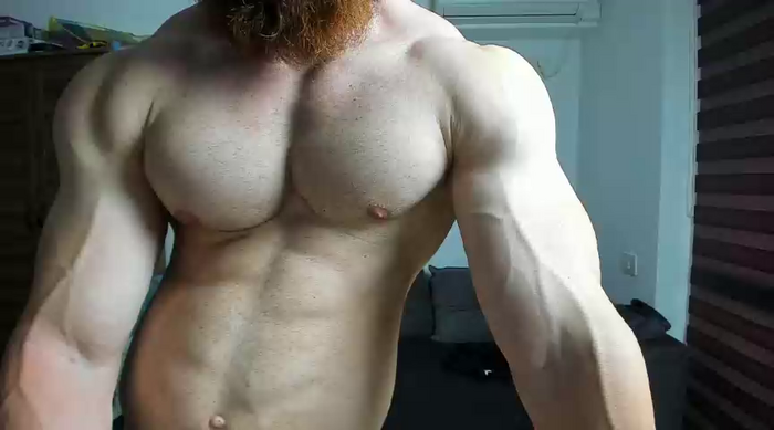 ZkkBlitz