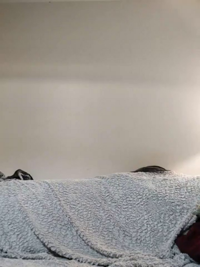 minierose