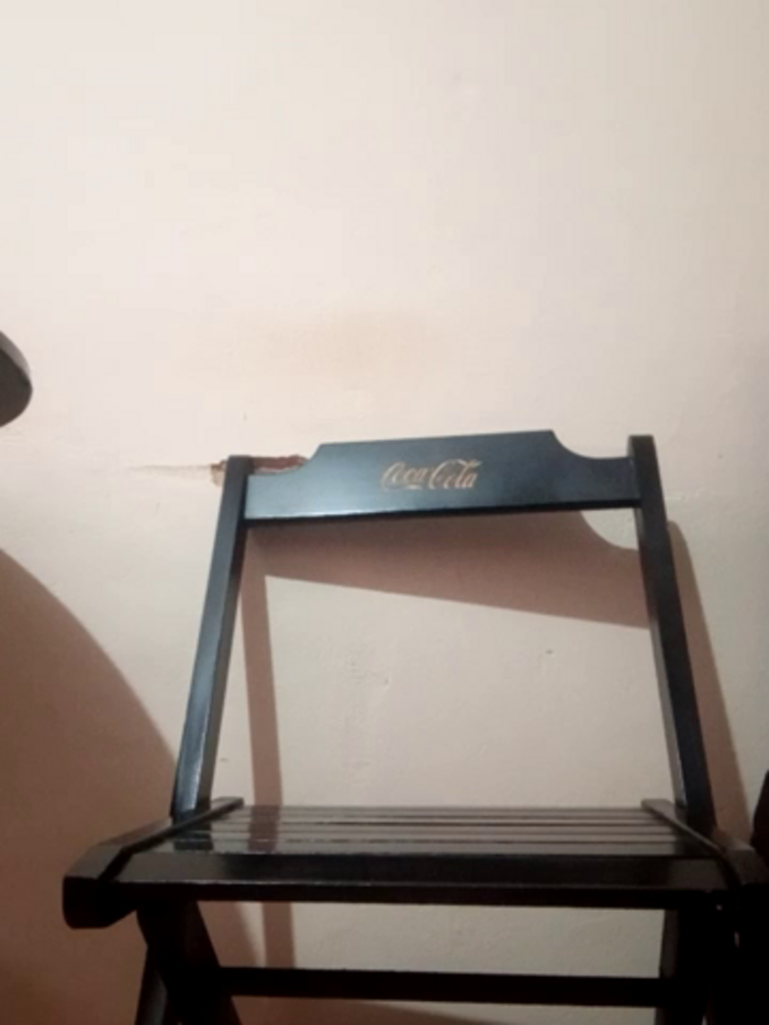 Peludo173317