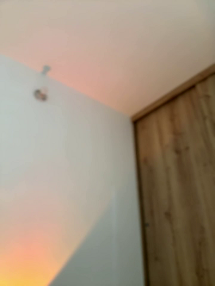 Anavi_