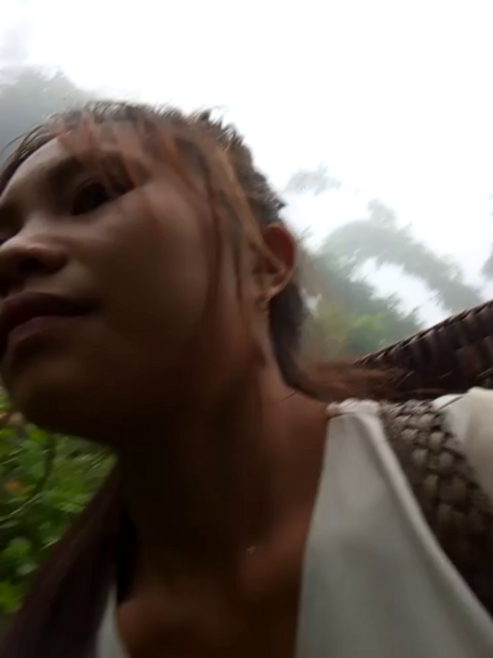 tamaien