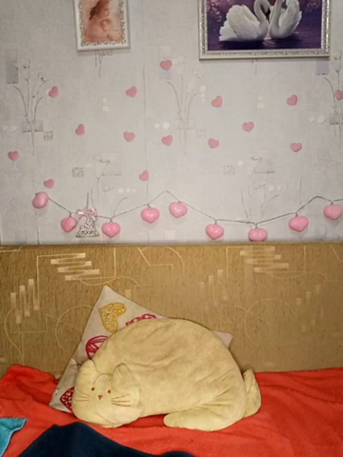 Katti_Kissa