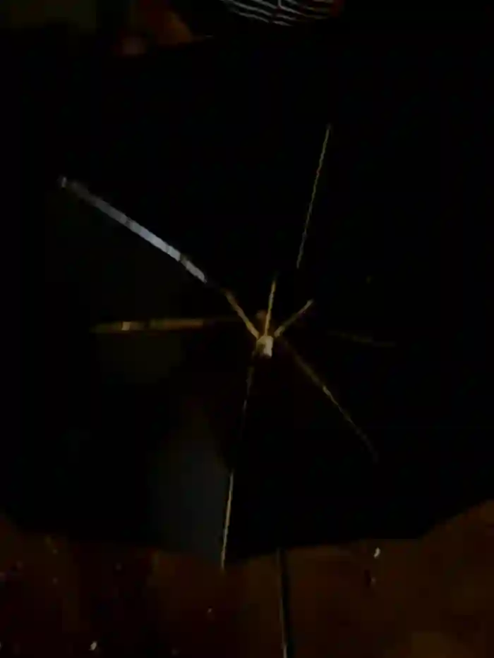 2024/08/01/stripchat-therealbeverlycious-19-39-16