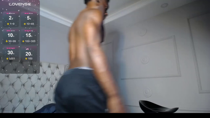 JanStallion