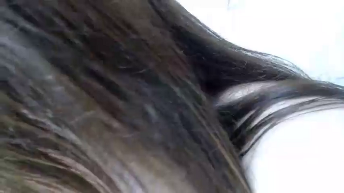 nenetan