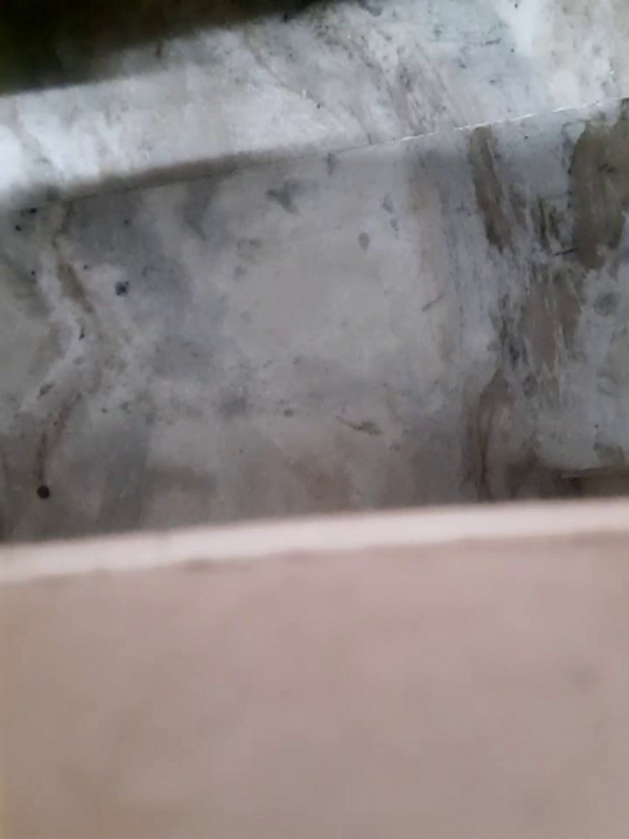 Janhvi-