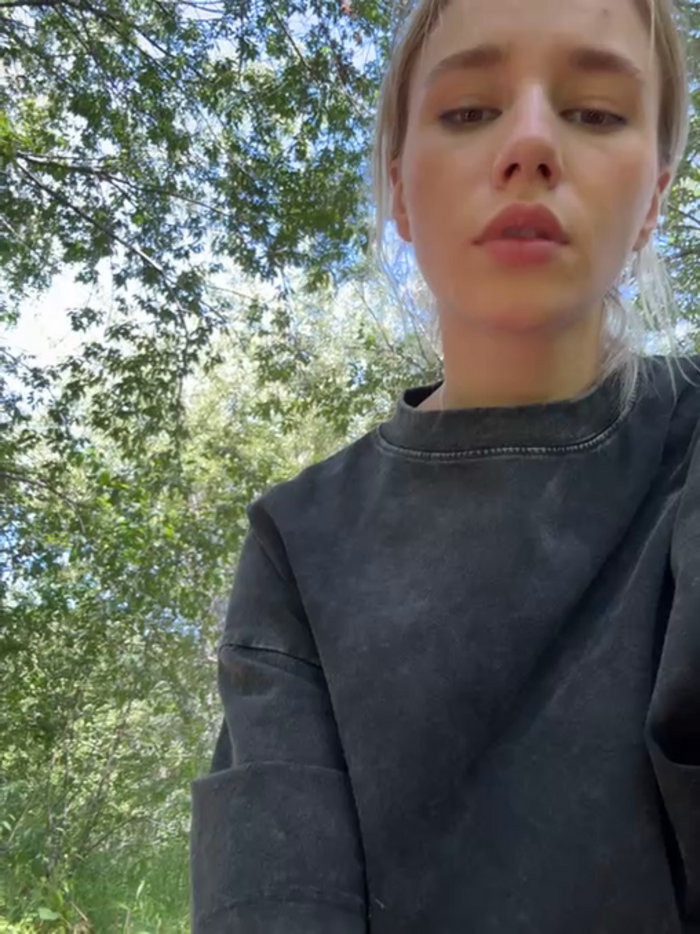 SSSATIVA_model