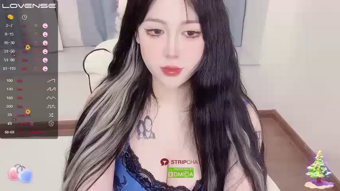Naixue-520